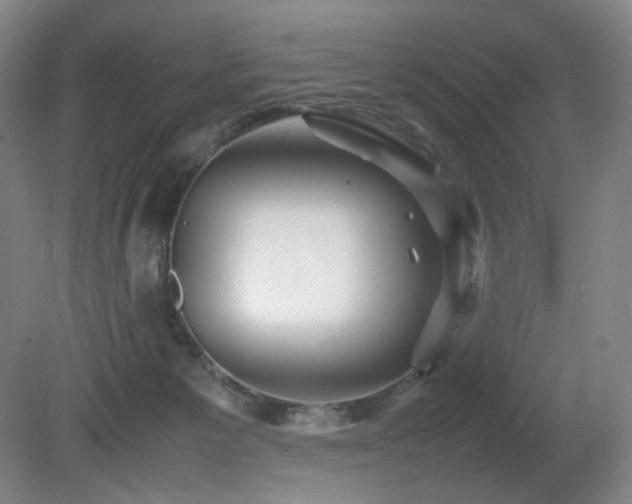X0000080660125200612151141
