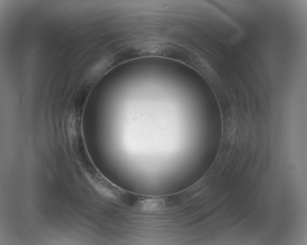 X0000080660126200612151141