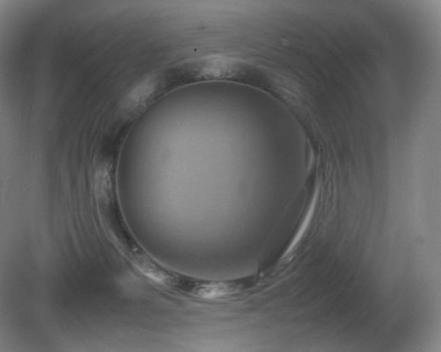X0000080660127200612151141