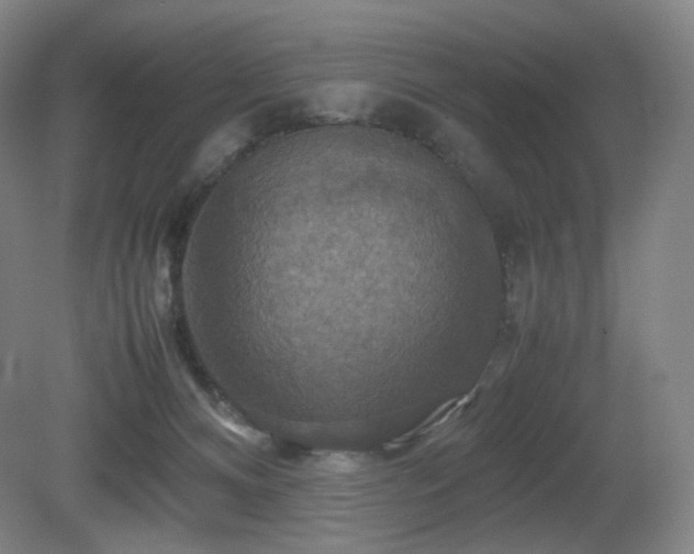 X0000080660128200612151141