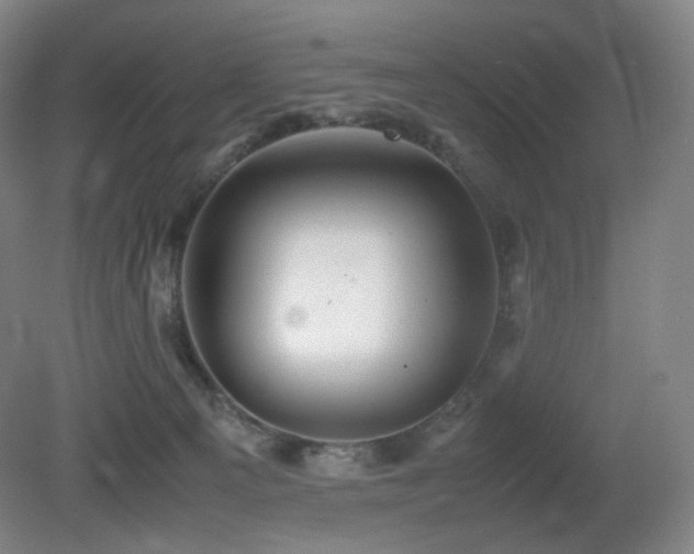 X0000080660129200612151141