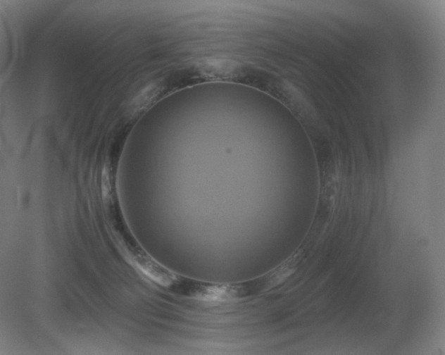 X0000080660130200612151141