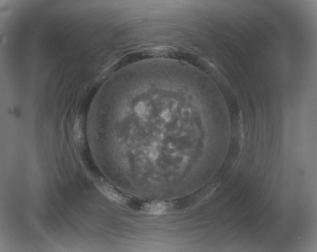X0000080660131200612151141