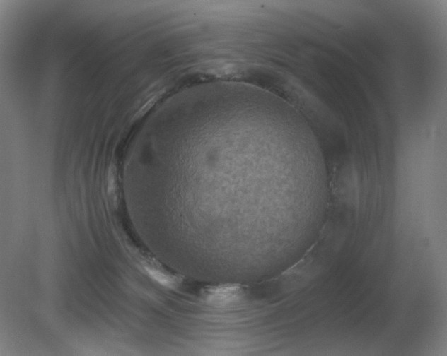 X0000080660132200612151141