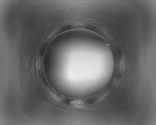 X0000080660133200612151141