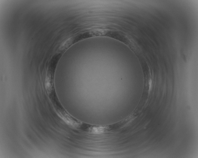 X0000080660134200612151141