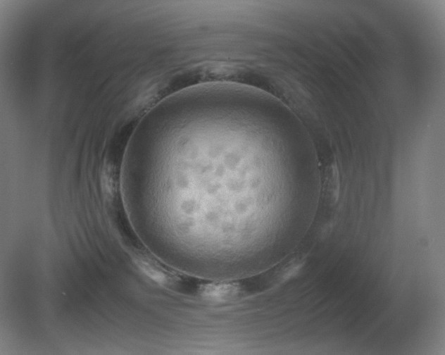 X0000080660135200612151141