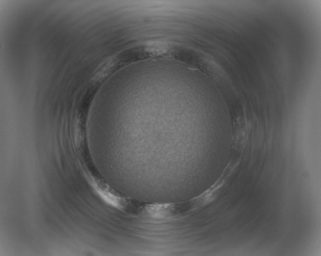 X0000080660136200612151141