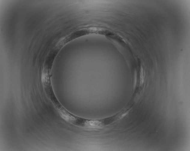 X0000080660137200612151141