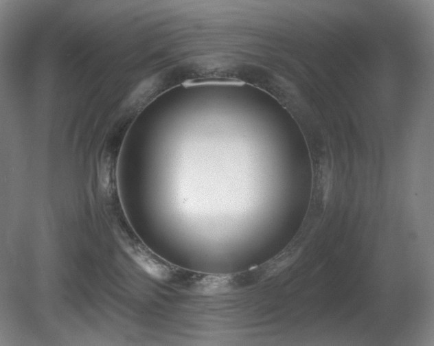 X0000080660138200612151141