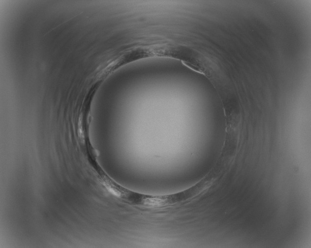 X0000080660139200612151141