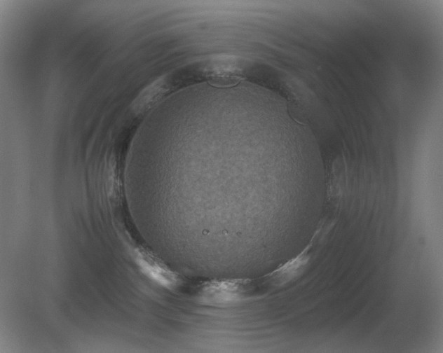 X0000080660140200612151141