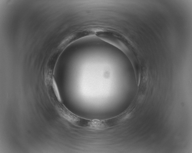 X0000080660141200612151141