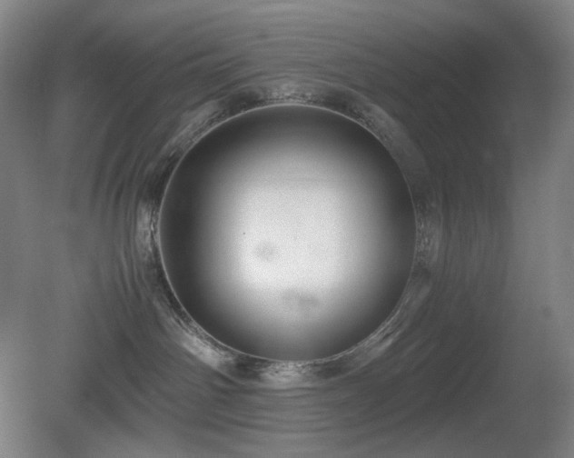 X0000080660142200612151141