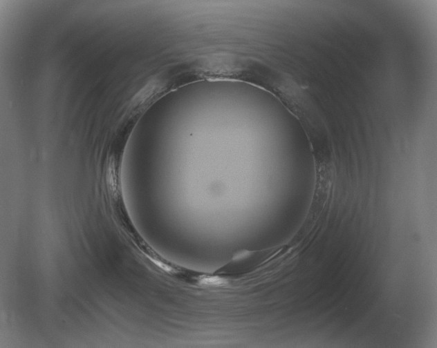 X0000080660143200612151141