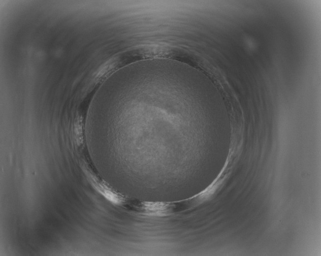 X0000080660144200612151141