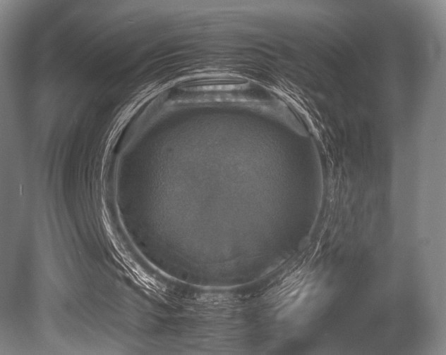 X0000080660145200612151140