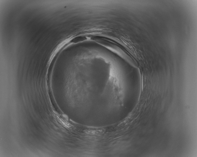 X0000080660147200612151140