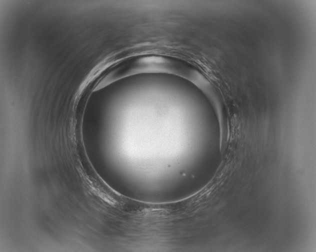 X0000080660150200612151140