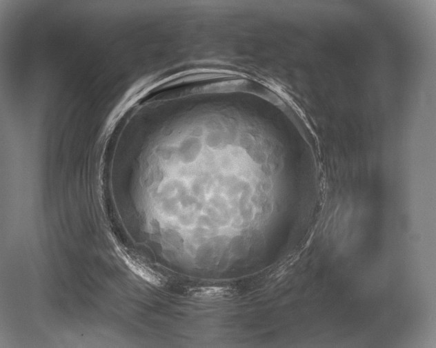 X0000080660151200612151140