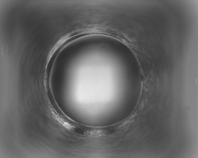 X0000080660152200612151140