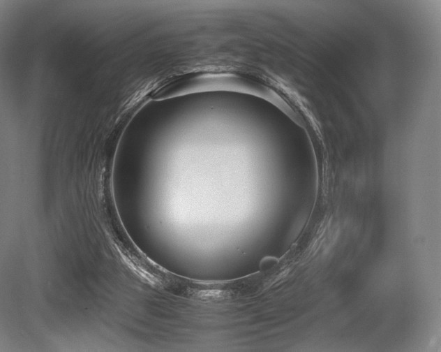 X0000080660153200612151140