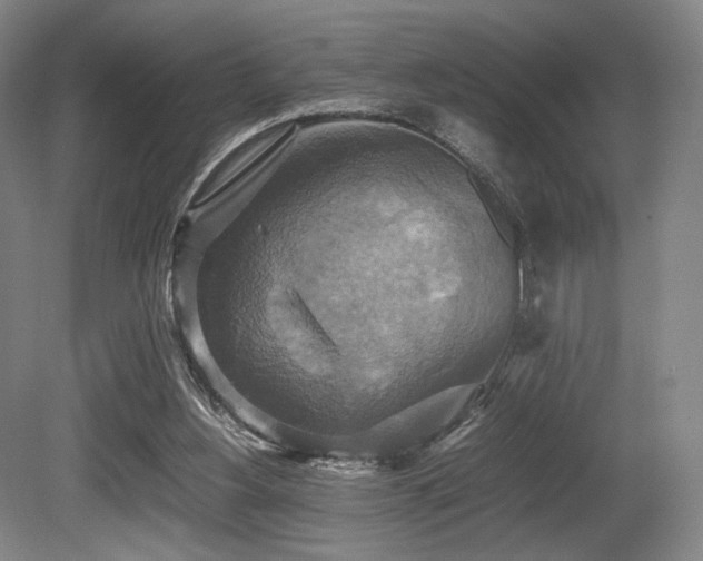 X0000080660156200612151140