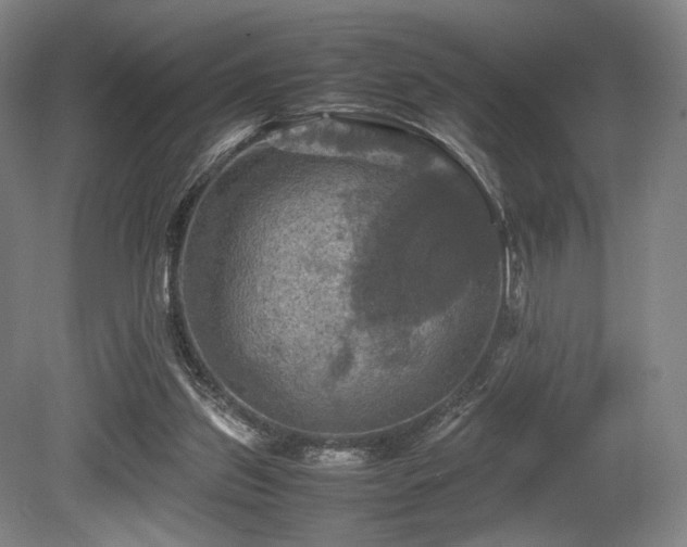 X0000080660157200612151140