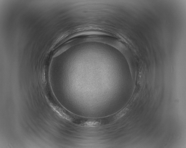 X0000080660158200612151140