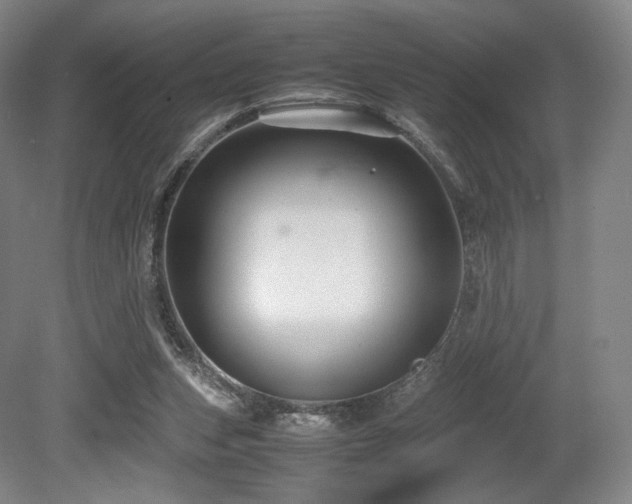 X0000080660159200612151140