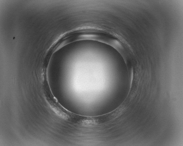 X0000080660160200612151140