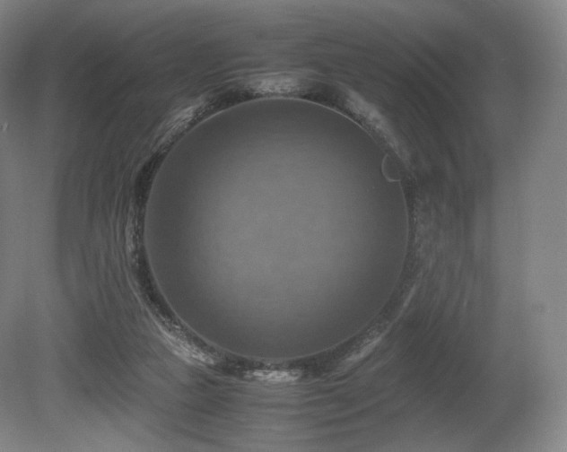 X0000080660161200612151140