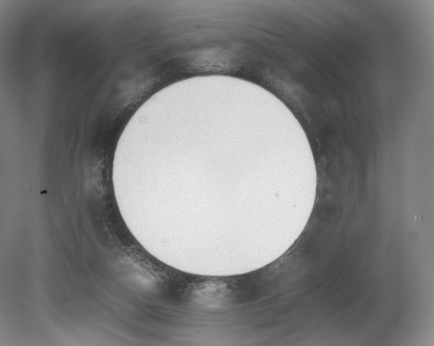 X0000080660162200612151140