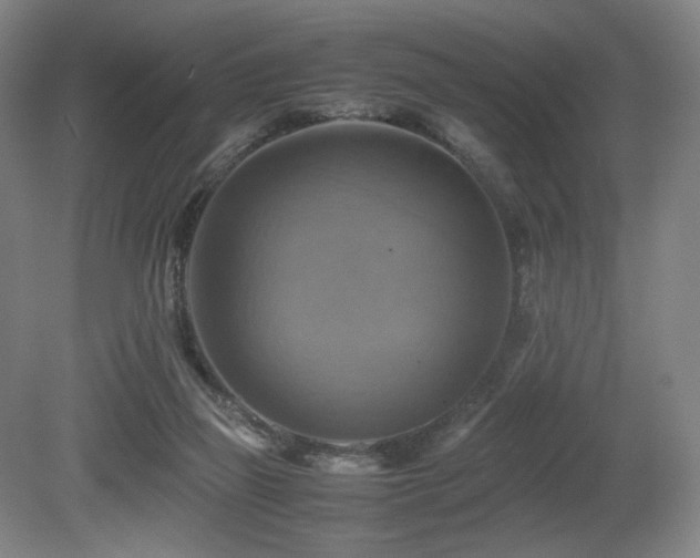 X0000080660165200612151140