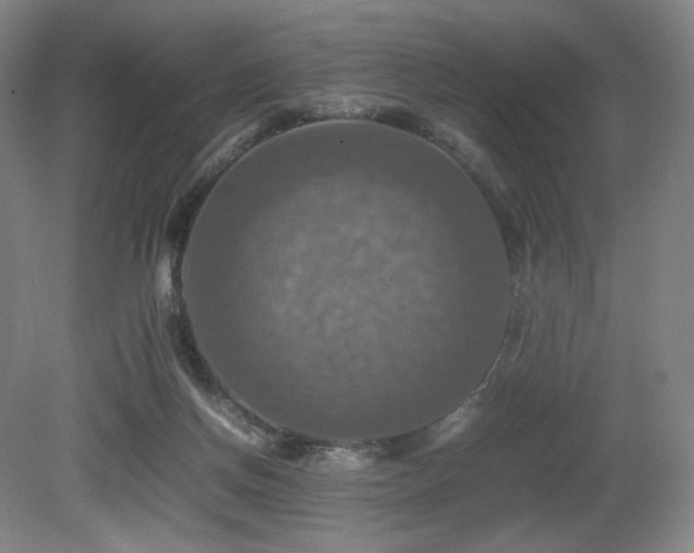 X0000080660166200612151140