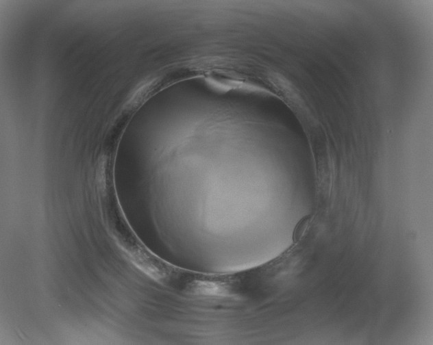 X0000080660167200612151140