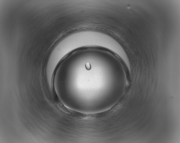 X0000080660168200612151140