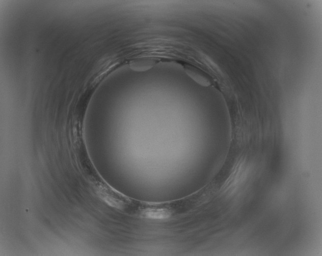 X0000080660169200612151140