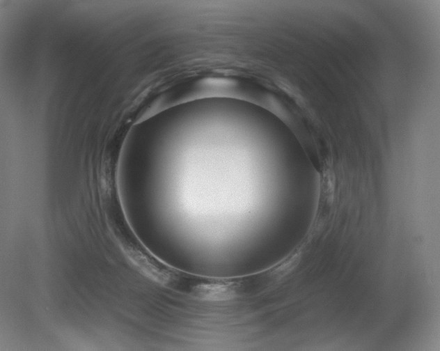 X0000080660170200612151140