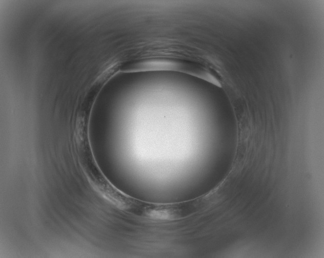 X0000080660171200612151140