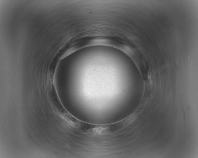 X0000080660172200612151140