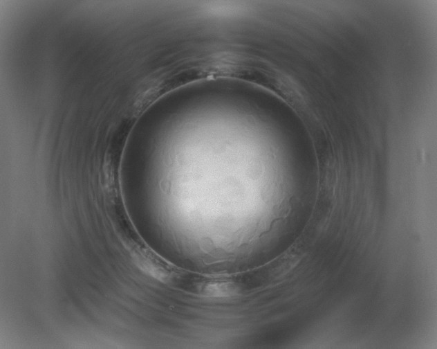 X0000080660173200612151140