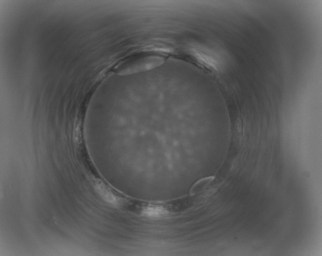X0000080660177200612151140
