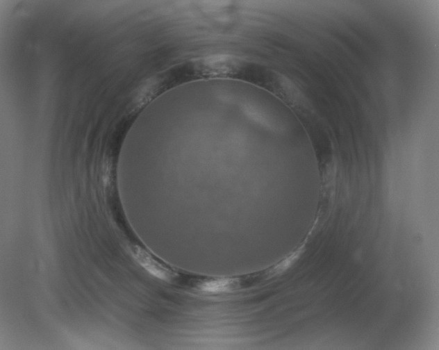 X0000080660178200612151140