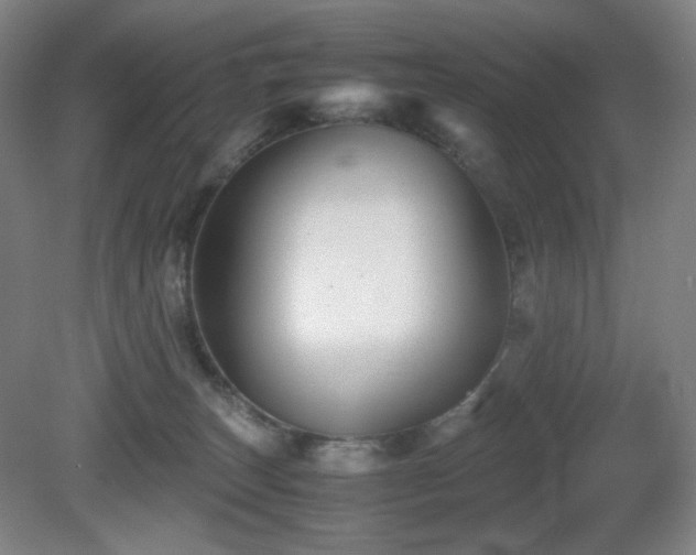 X0000080660179200612151140