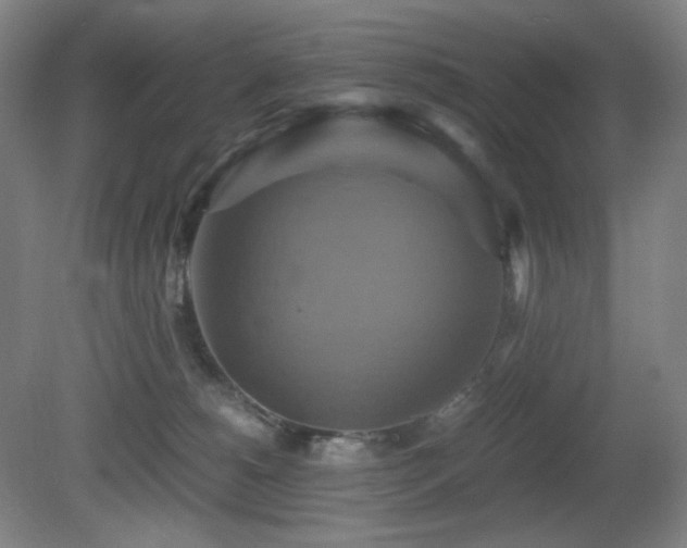 X0000080660180200612151140