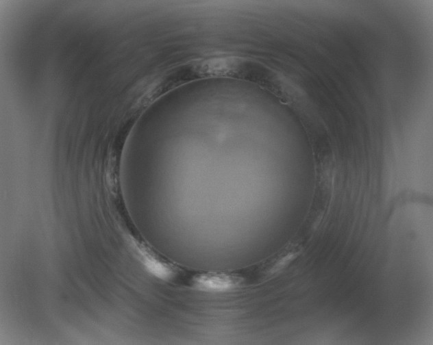 X0000080660181200612151140