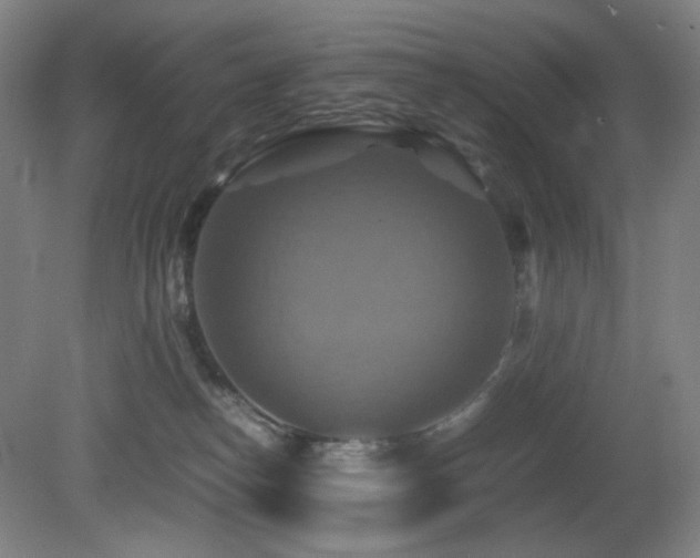X0000080660182200612151140