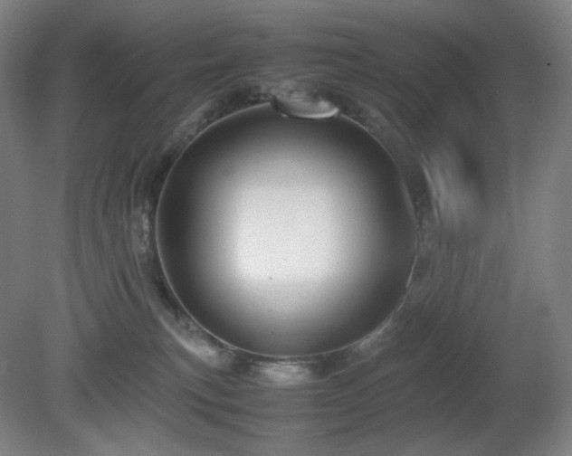 X0000080660183200612151140