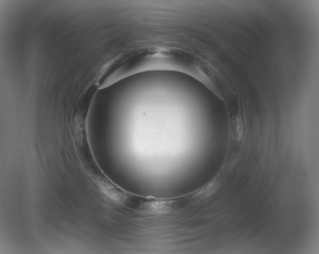 X0000080660184200612151140